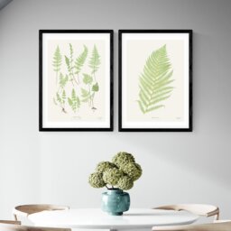 East End Prints Botan Vintage Black Frame Art Print - A2
