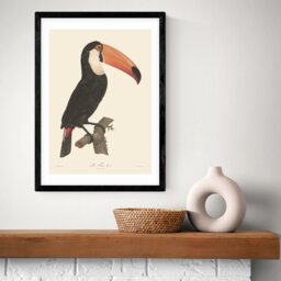 East End Prints Toucan Black Frame Art Print - A2
