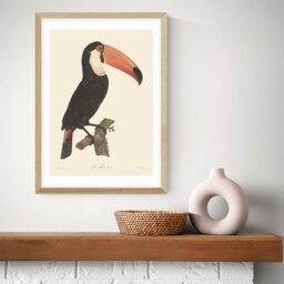 East End Prints Toucan Oak Frame Art Print - A2 - thumbnail 1