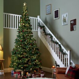 Habitat 12ft Christmas Tree - thumbnail 1