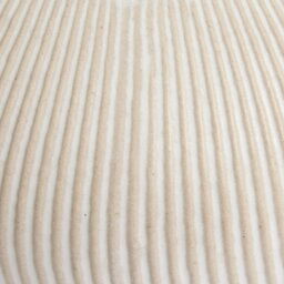 Habitat Small Ribbed Ceramic Vase - Natural - thumbnail 2