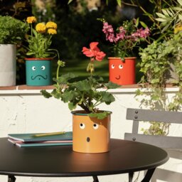 Garden by Sainsbury's Smiley Face Planter - Set of 3 - thumbnail 1