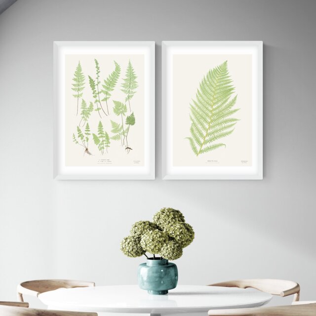 East End Prints Botan Vintage White Frame Art Print - A2 - image 1