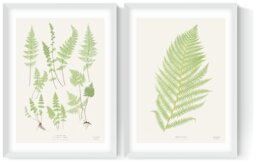 East End Prints Botan Vintage White Frame Art Print - A2 - thumbnail 2