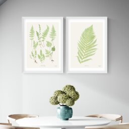 East End Prints Botan Vintage White Frame Art Print - A2 - thumbnail 1