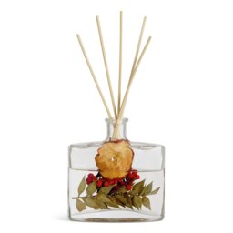 Argos Home Botanic 120ml Reed Diffuser - Christmas Spice - thumbnail 2