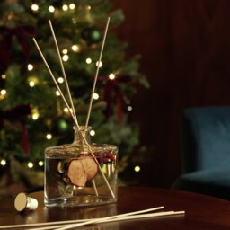 Argos Home Botanic 120ml Reed Diffuser - Christmas Spice - thumbnail 1