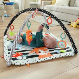 Fisher-Price 3-in-1 Music, Glow and Grow Gym Play Mat - thumbnail 1