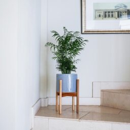 Ivyline Anzio Ceramic Planter - Warm Grey - thumbnail 2
