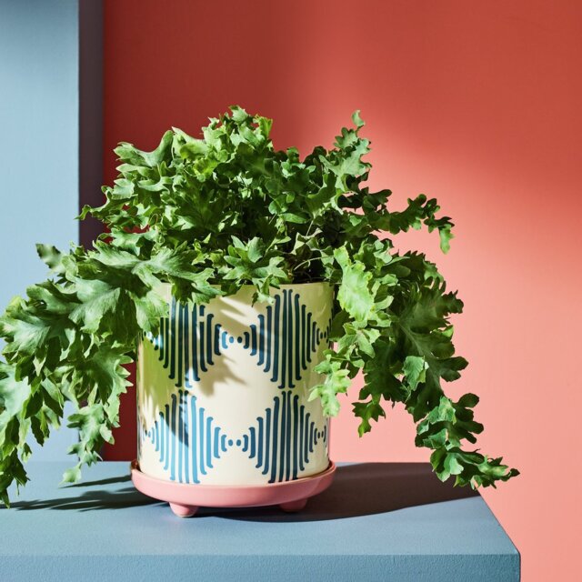 Habitat Harlequin Ceramic Blue Planter with Saucer - image 1