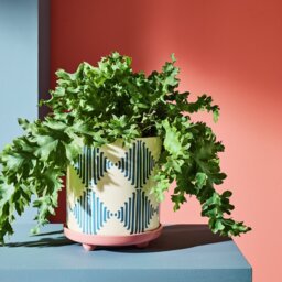 Habitat Harlequin Ceramic Blue Planter with Saucer - thumbnail 1