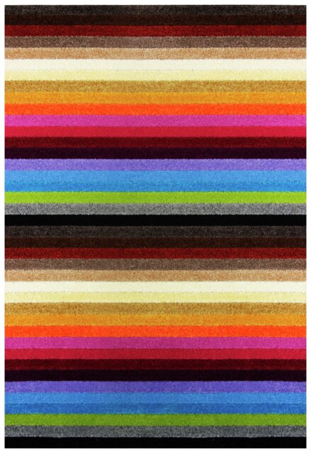 Linea Stripe Rug - Multicoloured - 66x100cm - image 1