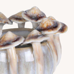 Mushroom Candle Holder - thumbnail 4