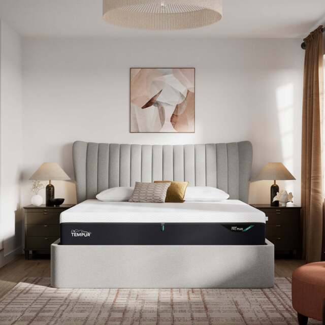 TEMPUR® Horton Ottoman Bed Base, Superking / Light Grey - image 1