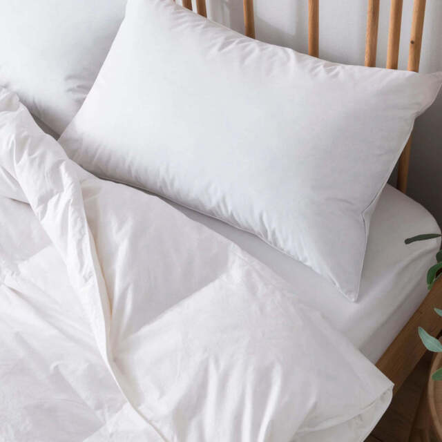 Goose Down Surround Pillow