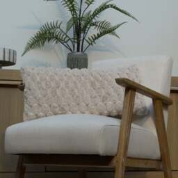 Beige Velvet Cushion - thumbnail 2