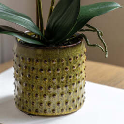 Artificial Orchid Multicolour in Moss Ceramic Dot Pot - thumbnail 2