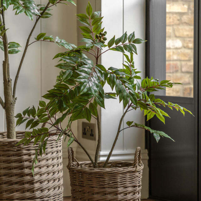 Artificial Potted Chinese White Olive Tree, Small - image 1
