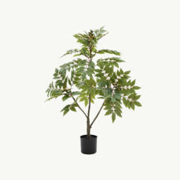 Artificial Potted Chinese White Olive Tree, Small - thumbnail 2