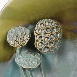 Lotus Seed Decorative Plate - thumbnail 4