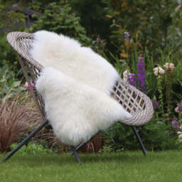 Australian Genuine Sheepskin Rug, Single / Natural - thumbnail 3