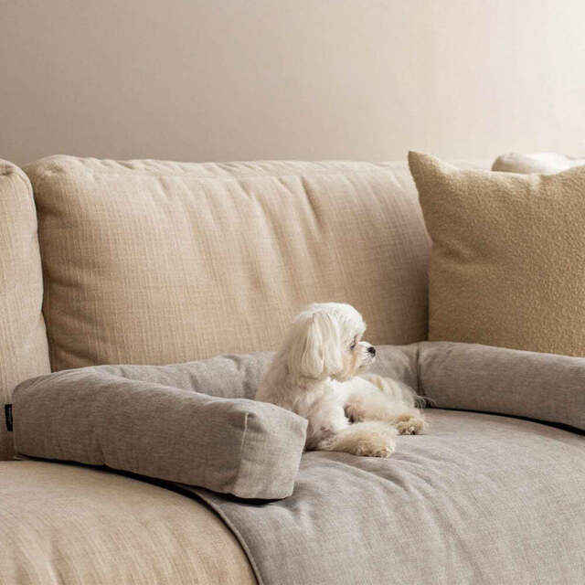 Muttley Pet Bed, Medium
