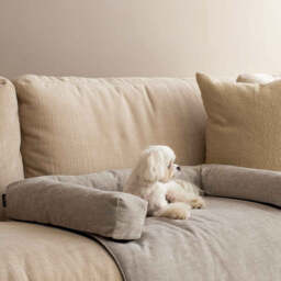 Muttley Pet Bed, Medium
