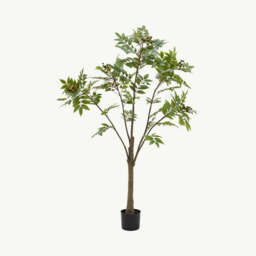 Artificial Potted Chinese White Olive Tree, Large - thumbnail 2