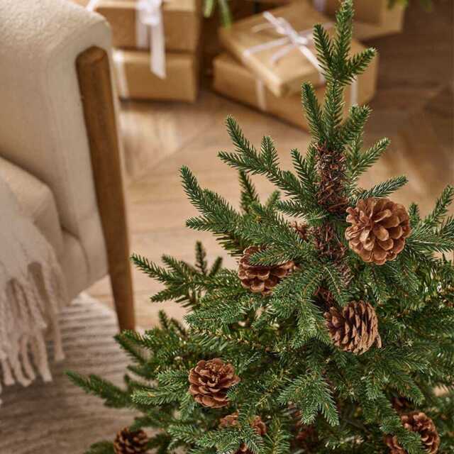 3' Buckingham Pine Potted Tree