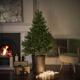 Glenside Fir Tree In Basket  6Ft Tall