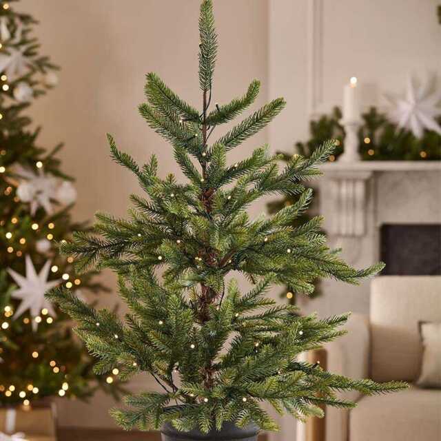 Nordmann Fir PreLit Potted Tree 3 Ft Tall