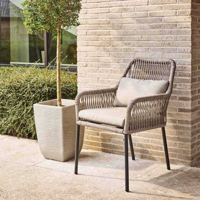 Celia Dining Chair