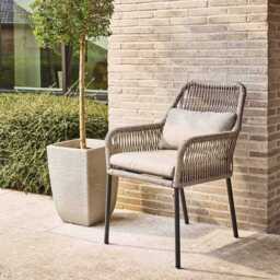 Celia Dining Chair