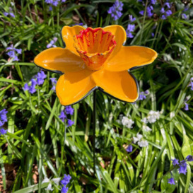 Selections Cast Iron Daffodil Bird Feeder Flower Dish