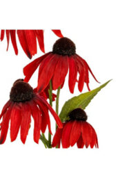 Red Echinacea Artificial Flower Spray For Elegant Floral Displays - thumbnail 3