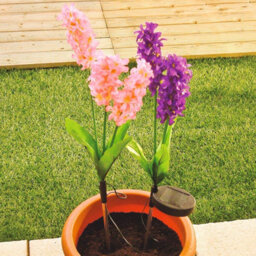 2 X Hyacinth Style Solar Stake Lights - Pink & Purple Flower Shaped Outdoor Garden Lighting Decorations - Each Measure H70Cm - thumbnail 3