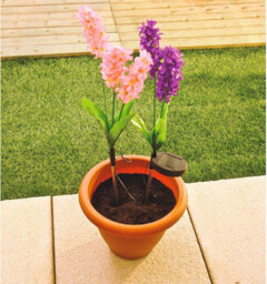 2 X Hyacinth Style Solar Stake Lights - Pink & Purple Flower Shaped Outdoor Garden Lighting Decorations - Each Measure H70Cm - thumbnail 2
