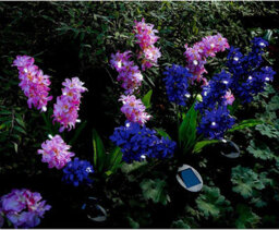 2 X Hyacinth Style Solar Stake Lights - Pink & Purple Flower Shaped Outdoor Garden Lighting Decorations - Each Measure H70Cm - thumbnail 8