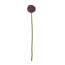 Hill Interiors Allium Stem Artificial Plant Purple (75Cm) - thumbnail 2