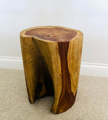 My Square Mile Wood Side Table Solid Tree Trunk Teak Suitable For Indoor/outdoor End Table 40Cm X 30Cm (Tree Trunk Side Table (40Cm)) - image 1