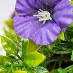 Primrose Pair Of Artificial Petunia Flowers Rattan Hanging Basket Decoration Pink Purple & White 25Cm - thumbnail 3