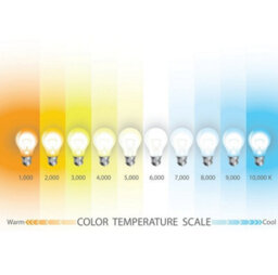 B2C 5M Led Strip Tape 300Led 2835 12V Flexible Lights Cold White - thumbnail 4