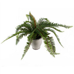 Leaf 40Cm Artificial Fern Bush In Decorative Planter - thumbnail 5