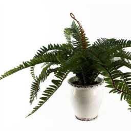Leaf 40Cm Artificial Fern Bush In Decorative Planter - thumbnail 3