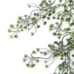 Leaf Pack Of 6 X Hanging Uv And Fire Resistant Artificial String Pearl Plant 75Cm - thumbnail 4