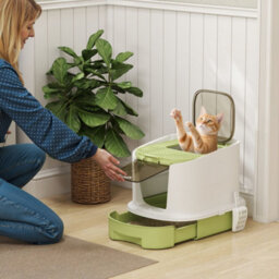 Pawhut Cat Litter Box, Hooded Cat Litter Tray With Lid, Scoop, Green