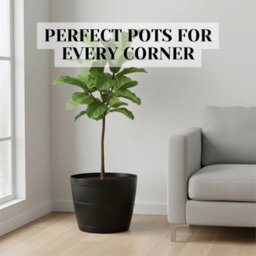 Barrel Planter Tub Plastic Garden Flower Plant Black Planter Tree Pot - thumbnail 6