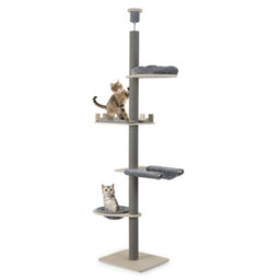 Costway 5-Tier Floor To Ceiling Cat Tree 236-271 Cm Height Adjustable Wooden Cat Tower - thumbnail 2