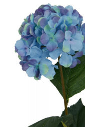 Orsina Hydrangea Stem - 74Cm Blue, Full Faux Bloom With Soft Blue Petals And Realistic Green Leaves, Adds Colour - thumbnail 8