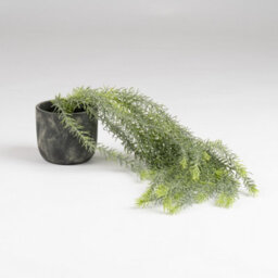 Scottish Everlastings Ltd. Scottish Everlastings 43Cm Artificial Trailing Plant In Rustic Cement Pot - thumbnail 3